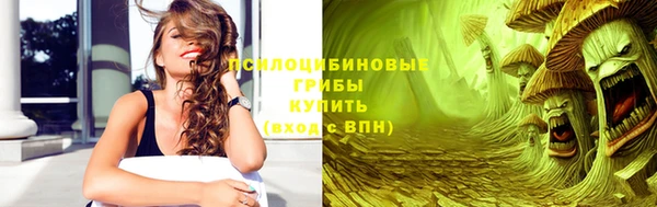 дживик Заводоуковск